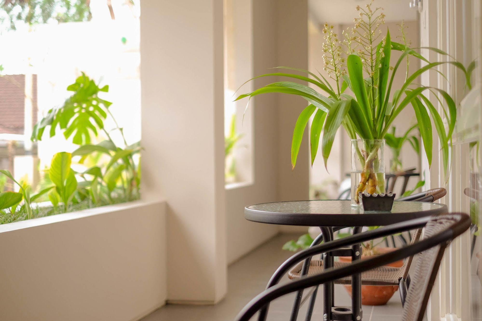 Bali True Living Aparthotel Денпасар Екстериор снимка